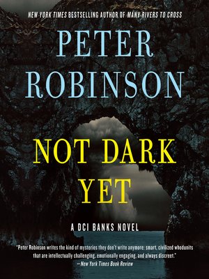 cover image of Not Dark Yet